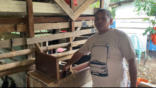 Pencurian kambing di Depok