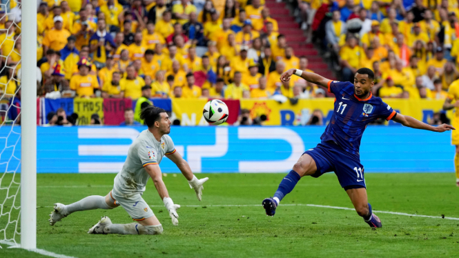 Pemain Timnas Belanda, Cody Gakpo