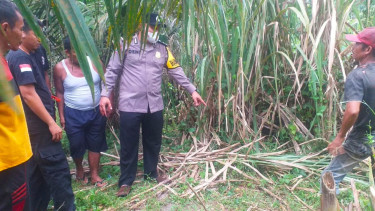 Polisi olah TKP penemuan jasad Kades Sarang Giting Kahan tewas tersambar petir. (dok Polsek Kotarih)