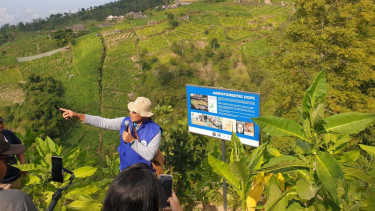 AQUA menginisiasi agroforestri kopi di kawasan hulu