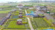 Photo Mini 1
