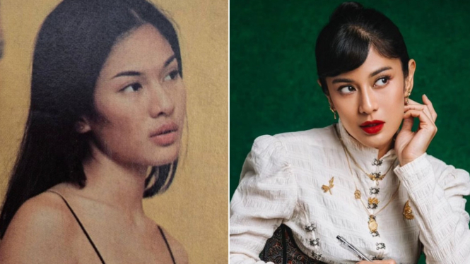 Dian Sastrowardoyo dulu dan sekarang