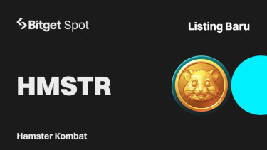 Hamster Kombat.