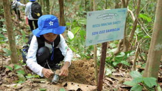 Jadi Sahabat Orangutan: Ajak Anak Lindungi Hutan