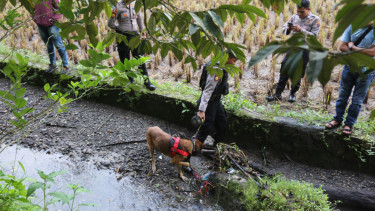 Pencarian Barang Bukti Oleh Anjing Pelacak