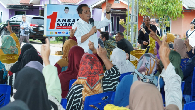 Calon gubernur Kepri nomor urut 1, Ansar Ahmad