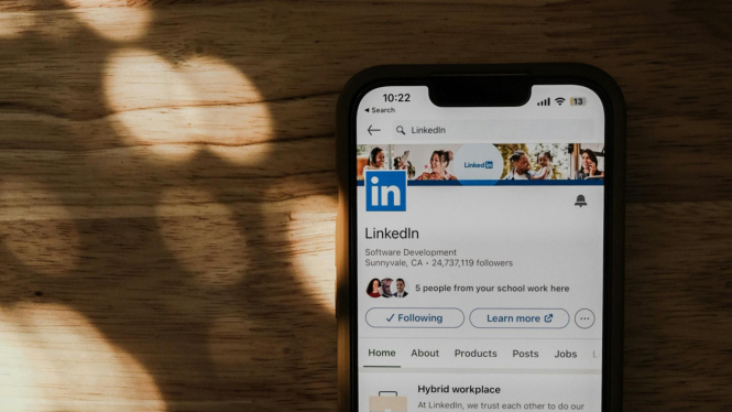 Tampilan Laman Linkedin