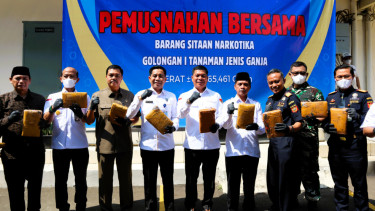 Bea Cukai musnahkan ganja