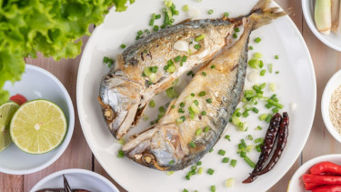 Ilustrasi ikan Kembung.