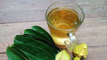  Daun Sirsak