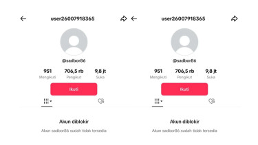 Akun TikTok Gunawan Sadbor Berpenghasilan Ratusan Juta Diblokir
