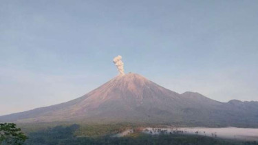 Gunung Semeru di Jawa Timur erupsi dengan letusan setinggi 1 km di atas puncak pada Kamis pagi, 7 November 2024.
