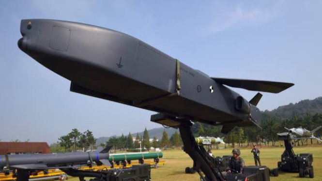 VIVA Militer: Rudal jelajah Taurus KEPD-350