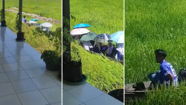 Viral sekolah berdiri di atas rawa-rawa
