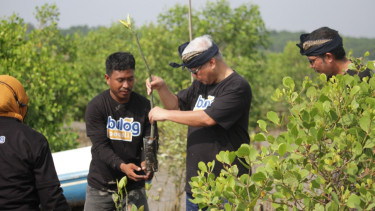 Perum Bulog menanam 570 bibit bakau di Bali