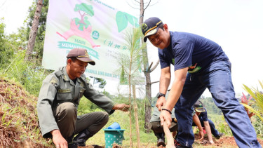 Perhutani Tanam Pohon [dok. Humas Perum Perhutani]
