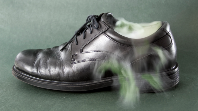 Bau Sepatu