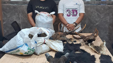 2 Warga Aceh Ditangkap Terkait Jual Beli Organ Satwa Dilindungi. (ist)