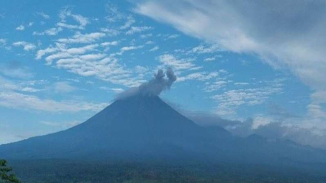 Gunung Semeru kembali erupsi