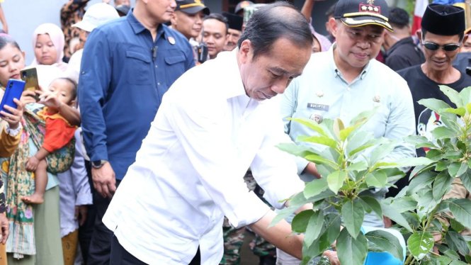 Presiden RI ke-7 Joko Widodo di Desa Peron, Limbangan Kendal Jawa Tengah
