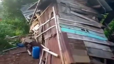 Kawanan Gajah Liar Rusak Pemukiman Warga di Tanggamus, Lampung