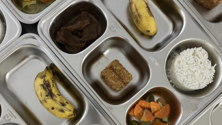 PB IDI Peringatkan Soal Menu Makan Bergizi Gratis: Jangan Ada Gorengan atau Sosis