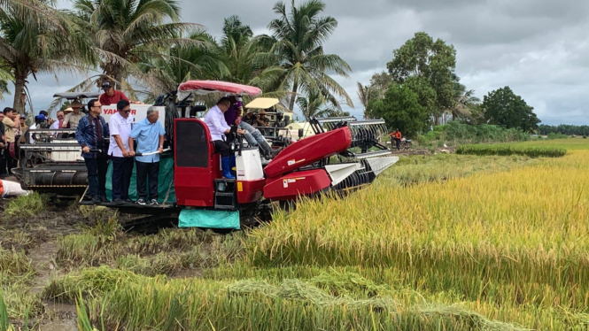 Menteri Koordinator Bidang Pangan RI, Zulkifli Hasan, saat meninjau panen padi di Kabupaten Desa Seri Meranti. (foto ilustrasi)
