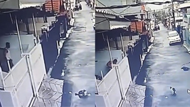 Heboh! Pria Ini Tembak Mati Kucing Lantaran Kesal Mobilnya Dikencingi