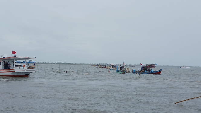 Proses pencabutan pagar bambu yang berada di laut tangerang