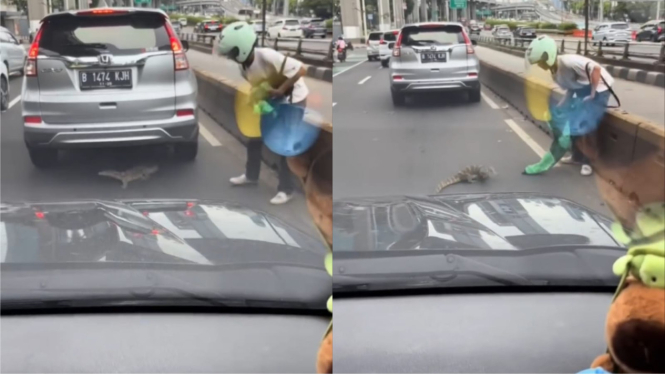 Viral Seorang Ojol Ini Evakuasi Biawak yang Tiba-tiba Muncul Usai Banjir