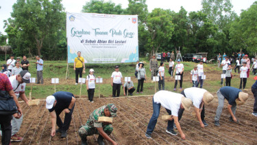 Lahan kering di wilayah Karangasem, Bali mulai ditanami padi Gogo