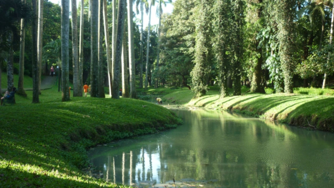 Taman langsat