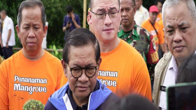 Gubernur terpilih Jakarta Pramono Anung menanam mangrove 