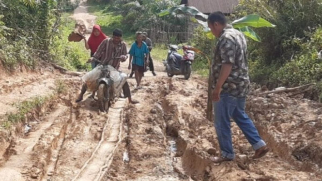 Video viral jalan rusak di Kabupaten Bungo, Jambi.