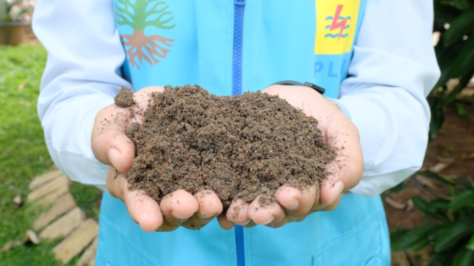 Pemanfaatan Pupuk Silika berbahan baku fly ash and bottom ash (FABA) Pembangkit Listrik Tenaga Uap (PLTU) milik PLN IP yang dimanfaatkan untuk pertanian
