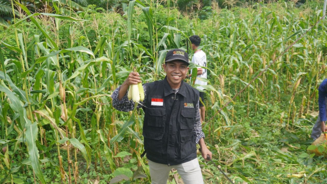 Pondok Pesantren Hidayatullah Besulutu di Desa Waworaha, Kabupaten Konawe Panen Jagung (Doc: Istimewa)