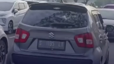 Viral dua mobil Suzuki Ignis punya pelat nomor sama