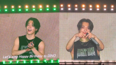 Dino SEVENTEEN