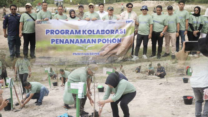 Kolaborasi Penanaman Pohon dan Literasi Asuransi BRINS - PNM 2025