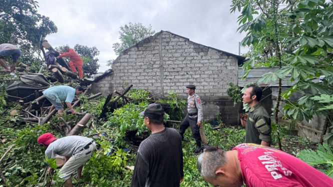 Akibat angin kencang disertai hujan, pohon tumbang menimpa rumah warga di Bali