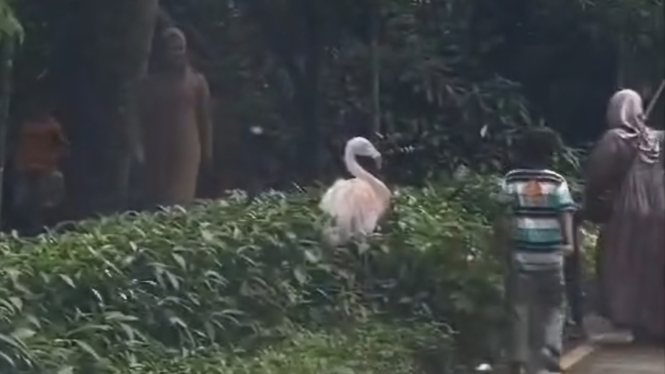 Pengunjung Taman Safari keluar mobil di area safari Journey. ISTIMEWA