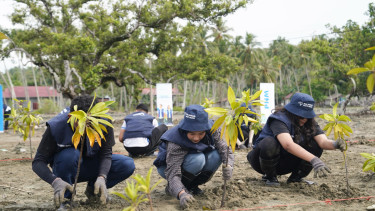 PT PNM bersama RBB tanam mangrove di pesisir Sulawesi