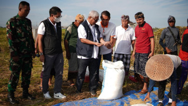 Perum BULOG melakukan penyerapan gabah/beras