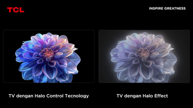 Halo Effect atau cahaya bocor pada TV.