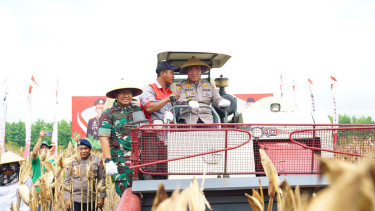 Irwasum Polri Komjen Dedi Prasetyo memimpin panen raya jagung di Madiun