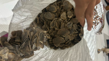 Barang bukti Sisik Trenggiling Diamankan oleh Polresta Jambi