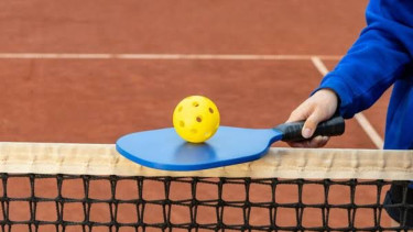 Struktur organisasi ini mencakup berbagai bidang strategis yang diharapkan mampu mengembangkan olahraga pickleball di Indonesia, baik dari segi pembinaan atlet, kompetisi, hingga hubungan internasional.