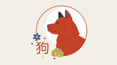 Shio Anjing