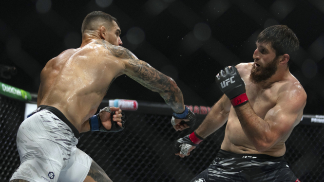 Petarung UFC, Magomed Ankalaev (kanan)