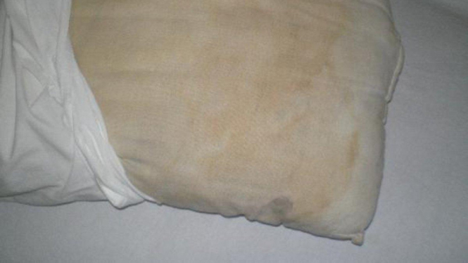 Ilustrasi Bantal Berjamur